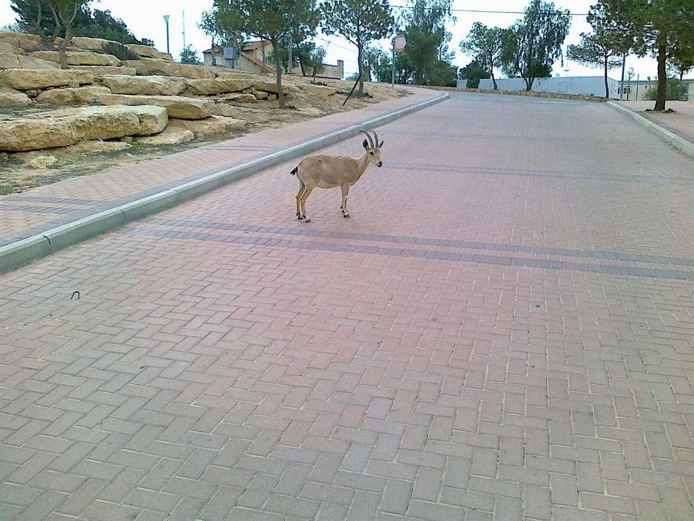 Ramon Suites By Smart Hotels Mitzpe Ramon Eksteriør billede