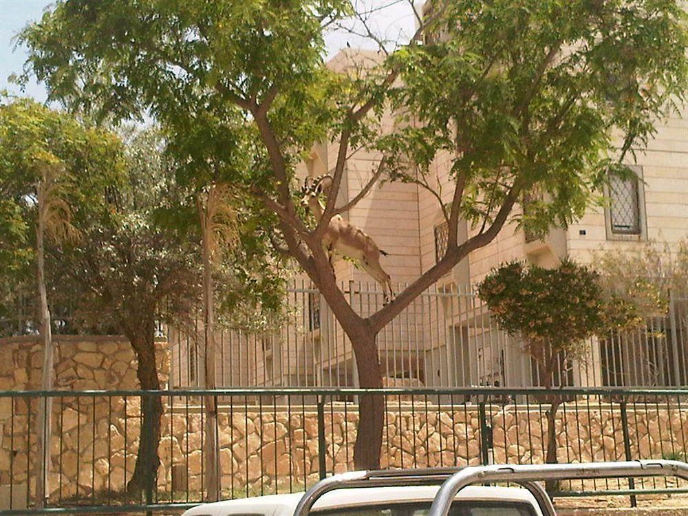 Ramon Suites By Smart Hotels Mitzpe Ramon Eksteriør billede