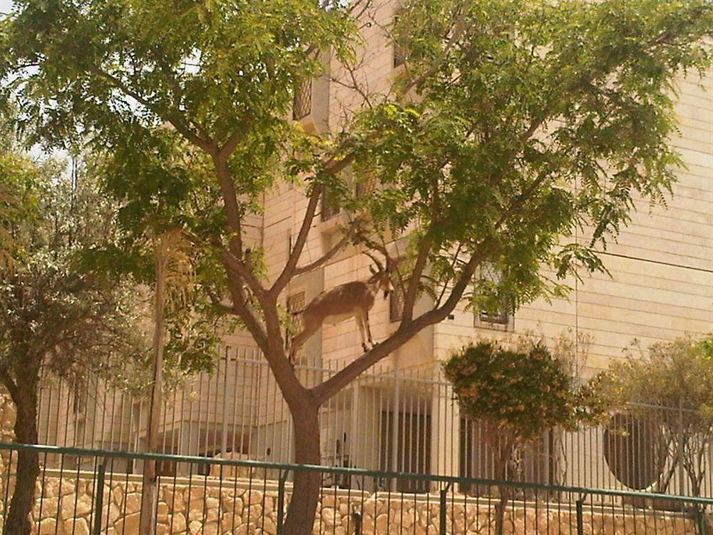 Ramon Suites By Smart Hotels Mitzpe Ramon Eksteriør billede