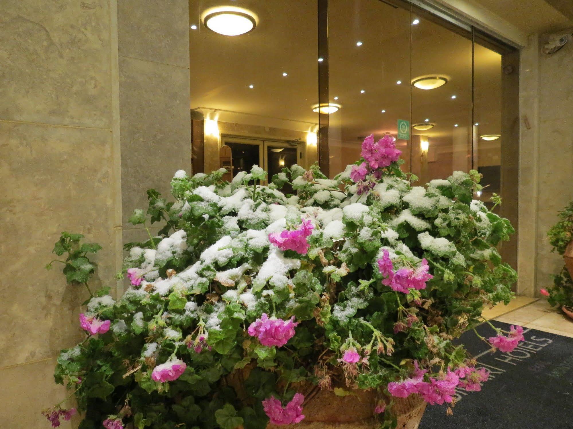 Ramon Suites By Smart Hotels Mitzpe Ramon Eksteriør billede